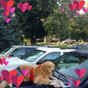 Meet your Posher, Michele